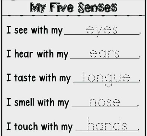 This sheet help in identifying the function of the sense organ. There are 5 sense organs that is eyes👀,ears👂,nose👃, tongue 👅 and skin. And in this sheet its function are mentioned. Trace the word and learn. For more sheets follow the page and save the pins. Our Sense Organs Worksheet, Worksheet Science For Kindergarten, 5 Sense Organs, Sense Organs Worksheets, Five Senses Worksheet, Sense Organs, Senses Preschool, My Five Senses, Teach English To Kids