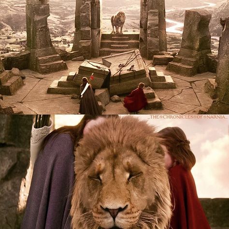 Narnia The Lion Witch And Wardrobe, 2022 Movies, Lion Witch Wardrobe, Star Rain, World Movies, White Witch, Vampire Knight, Chronicles Of Narnia, Fantasy Movies