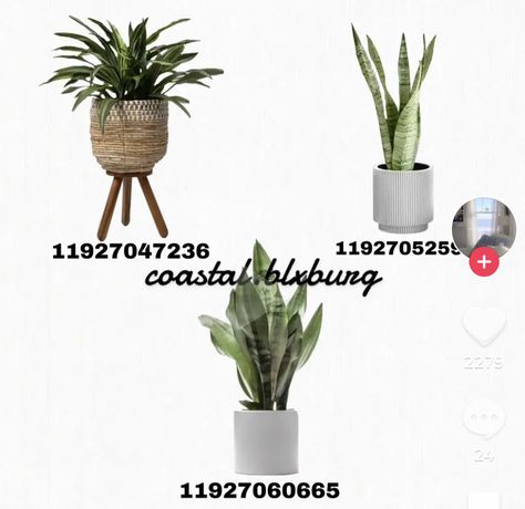 Bloxburg Leaves Codes, Blox Burg Plant Decal, Bloxburg Plant Vase Decals Codes, Bloxburg Realistic Picture Codes, Bloxburg Plant Codes Transparent, Bloxburg Grass Colors, Bloxburg Codes For Plants, Bloxburg Picture Codes Plants, Marble Wall Decal Bloxburg