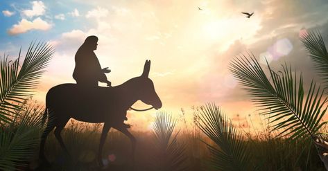 Hosanna is a word we love to say in our churches, especially on Palm Sunday. But few Christians today know the word’s origin. Hosanna In The Highest, Easter Devotions, Triumphal Entry, Sunday Quotes Funny, Christian Holidays, Resurrection Sunday, Palm Sunday, Holy Week, Jesus Pictures