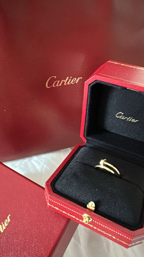 Oldmoney Jewelry, Cartier Gift, European Outfits, Aesthetic Rings, Rings Luxury, Life Aesthetic, Arab Fashion, Cartier Love, Stockholm Fashion