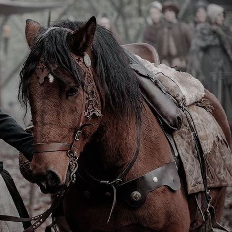 Horses Medieval Aesthetic, Horse Fantasy Aesthetic, Fantasy Adventure Aesthetic, Midevil Aesthetics, Ranger Aesthetic, Scotland Aesthetic, Medieval Horse, Rangers Apprentice, Medieval Aesthetic