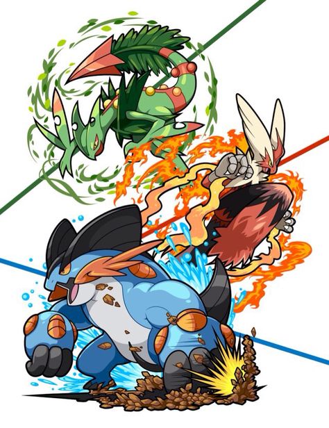 Mega evolution Pokémon Mega Evolution, Pokemon Mega Evolution, Mega Sceptile, Mega Blaziken, Evolution Pokemon, Mega Evolution Pokemon, Pokemon Mega, Pokémon Ruby, Pokemon Starters