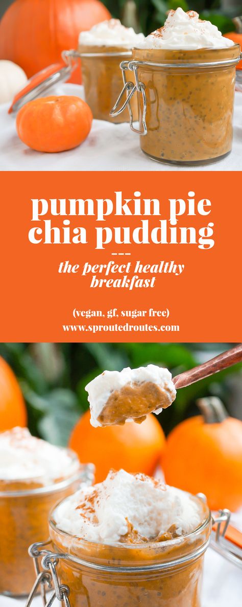 Pumpkin Pie Chia Pudding, Chia Pudding Recipe, Perfect Healthy Breakfast, Chia Pudding Recipes, Desserts Vegan, Low Carb Pizza, Fall Flavors, Pumpkin Pie Filling, Chia Seed Pudding