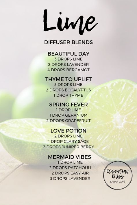 Lime Diffuser Blends, Mojito Diffuser Blend, Citrus Fresh Diffuser Blends, Lime Essential Oil Blends, Lime Essential Oil Diffuser Blends, Lemon Verbena Diffuser Blend, Sunny Citrus Diffuser Blend, Essential Oil Perfumes Recipes, Lime Essential Oil