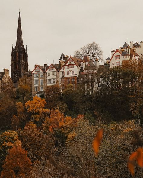 “I will cut adrift—I will sit on pavements and drink coffee—I will dream; I will take my mind out of its iron cage and let it swim—this fine October.” {Virginia Woolf} ~ A moment of appreciation for Edinburgh in October. If you’re visiting in the next couple of weeks, you’re in for an absolute treat! 🍁🍂🧡🎃 Virginia Woolf, Drink Coffee, My Mind, Edinburgh, Virginia, The Next, Swimming, In This Moment, Let It Be