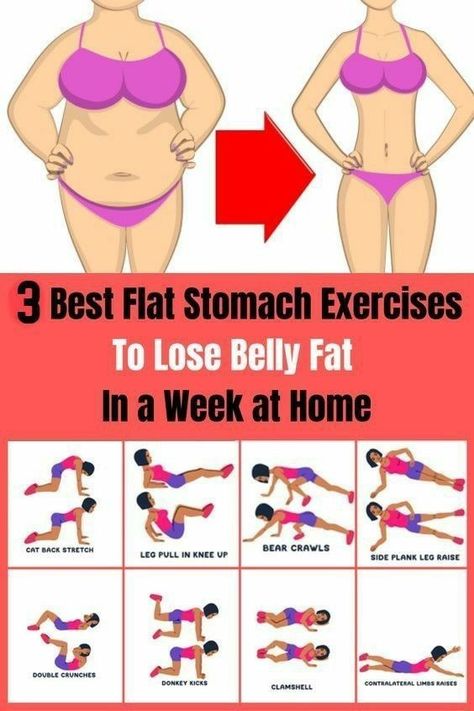 Exercise for belly fat Stomach Exercises, Exercises To Lose Belly, Sixpack Workout, Lose Lower Belly Fat, Workout For Flat Stomach, Lower Belly Fat, Lose Belly Fat Workout, Stomach Fat, Trening Pilates