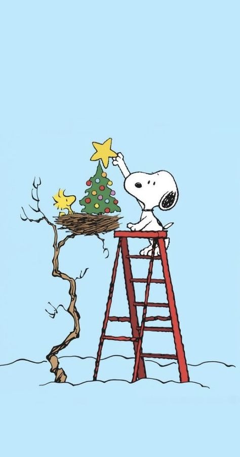 Peanuts Wallpaper, A Charlie Brown Christmas, Christmas Wallpaper Iphone Cute, Woodstock Snoopy, Best Wallpaper Hd, Snoopy Funny, Snoopy Images, Peanuts Cartoon, Snoopy Wallpaper