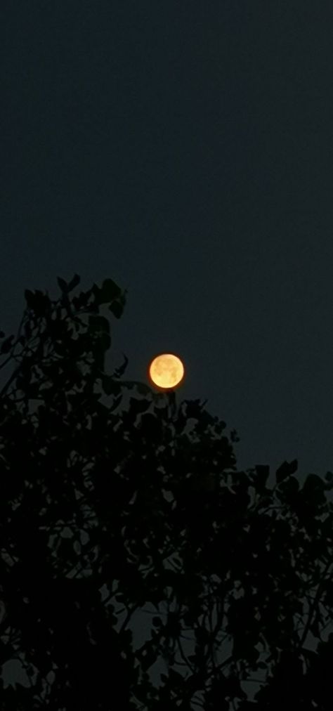 Orange Moon Wallpaper, Orange Moon Aesthetic, Pink Moon Aesthetic, Moon Pics, Aesthetic Moon, Sky Quotes, Orange Moon, Moon Aesthetic, Shoot The Moon