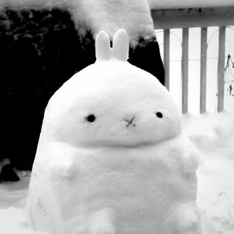 Christmas Bunny Art, Kawaii Christmas Pfp, Aesthetic Snow Pics, Bunny Icon Aesthetic, White Snow Aesthetic, Christmas Aesthetic Snow, Bunny In Snow, Snow Bunny Aesthetic, Bunnies Aesthetic