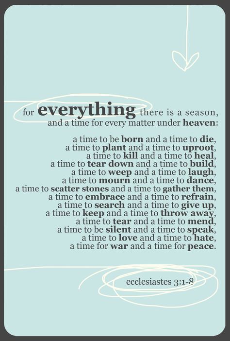 For Everything There is a Season <3 There's A Time For Everything Quote, For Every Season There Is A Purpose, A Season For Everything Quotes, There Is Time For Everything Bible, And So It Begins Quotes, There Is A Season For Everything, Almost Time To Give Birth Quotes, Time And Season Quotes, Season For Everything Quotes