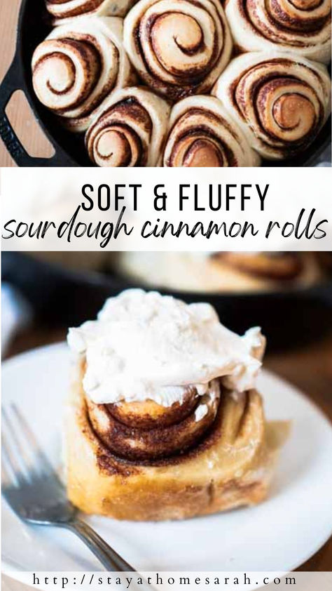 Is there anything more cozy and delicious than super soft and perfectly spiced sourdough cinnamon rolls? The sweet cinnamon and sugar swirled in the soft sourdough bread dough and topped with cream cheese frosting can’t be beat. Sour Dough Cinnamon Roll, Sourdough Cinnamon Rolls Farmhouse, Red Velvet Sourdough Cinnamon Rolls, Make Ahead Sourdough Cinnamon Rolls, Soft Sourdough Cinnamon Rolls, Fluffy Sourdough Cinnamon Rolls, Sourdough Pumpkin Cinnamon Rolls, Sourdough Cinnamon Rolls Quick, Cinnamon Sugar Sourdough Bread