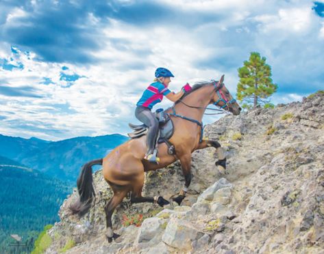 Learn endurance riders secrets to stay comfortable while spending hours in the saddle. Endurance Riding, Horse Riding Outfit, Dressage Horses, Horses And Dogs, Equestrian Sports, Horse Blankets, Horse Training, Horse Life, Trail Riding