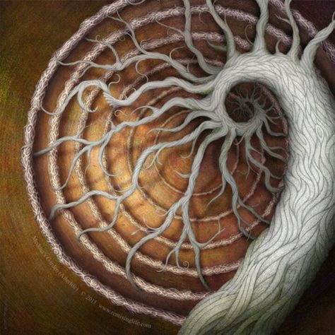 Tree of life Spiral Art, Conceptual Art, Tree Art, Fractal Art, Art Journals, New Media, Labyrinth, Sacred Geometry, Gourds