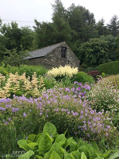 Bee Garden Ideas, Bug Background, Flower Lawn, Maine Garden, Sidewalk Landscaping, Pollinator Garden Design, Squirrel House, Planting Schemes, Diy Garden Trellis