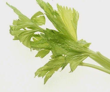 Dehydrating Celery, Dehydrate Celery, Dehydrating Recipes, Celery Leaves, Dehydrated Food, Dehydrator Recipes, Quick Guide, Video Tutorials, Celery