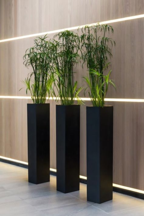 Tall Square Reception Planters In Black Fibrestone Commercial Planters, Contemporary Planters, نباتات منزلية, Indoor Outdoor Planter, Tall Planters, Square Planters, Concrete Pots, Modern Planters, House Plants Decor