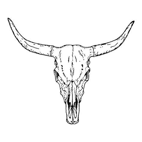 Skull Tattoo Outline, Longhorn Skull Drawing, Toros Tattoo, Bull Skull Tattoo, Longhorn Tattoo, Tattoo Crane, Cow Skull Tattoos, Bull Skull Tattoos, Cowgirl Tattoos