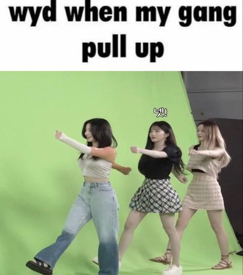 lee saerom song hayoung jang gyuri wyd when my gang pull up greenscreen meme twitter twt messy Wyd When My Gang Pull Up, Lee Saerom, Meme Twitter, Cartoon Profile, Silly Things, Silly Images, Cartoon Profile Pics, Funny Video Memes, Profile Pics