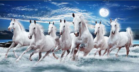 7 Running Horses Painting Vastu: Direction, Importance and Significance Running Horse Wallpaper For Phone, 7 Horses Running Painting Vastu Wallpaper, Seven Horses Painting, 7 Horses, Horses Painting, Running Images, Horse Canvas Painting, Horses Running, Beautiful Horse Pictures