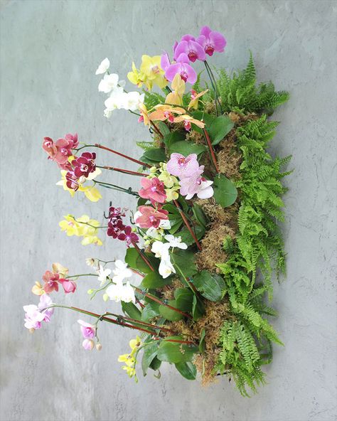 Botanical Visions – Florida Landscape Design Excellence – Living Walls Gallery - 2 Interior Vertical Garden, Living Wall Planter, Hanging Orchid, Indoor Orchids, Orchid Centerpieces, Orchid Planters, Wall Planters, Living Walls, Growing Orchids