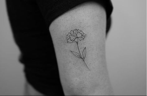 Minimalist Carnation Tattoo, Dainty Carnation Tattoo, Fine Line Carnation, Carnation Line Art, Fine Line Carnation Tattoo, Small Carnation Tattoo, Carnation Bouquet Tattoo, Carnation And Rose Tattoo, Simple Carnation Tattoo