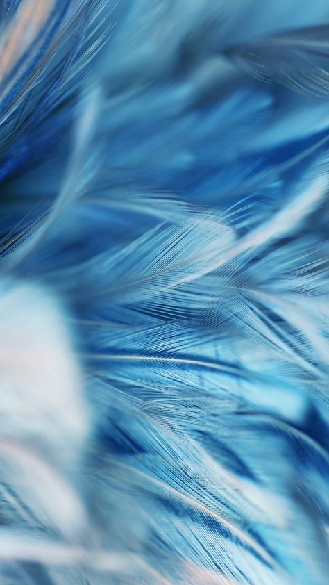 Blue Feather Background, Gilded Aesthetic, Edible Eyes, Feather Background, Bright Nail Designs, Hair Facts, Instagram Photo Ideas Posts, Blue And White China, Archangel Michael