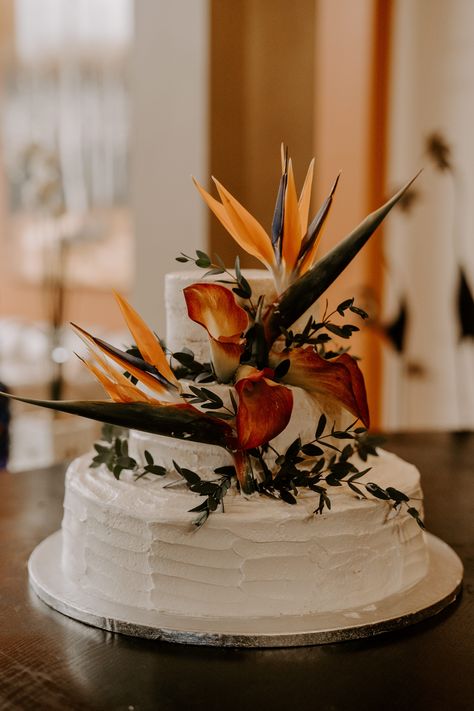 #birdofparadise #italianruscus #weddingcake #nakedcake #bohoweddingcake #tropicalweddingcake Birds Of Paradise Wedding Cake, Birds Of Paradise Wedding, Bird Of Paradise Wedding, Tropical Wedding Cake, Simple Beach Wedding, Boho Wedding Cake, Paradise Wedding, Italian Ruscus, Birds Of Paradise