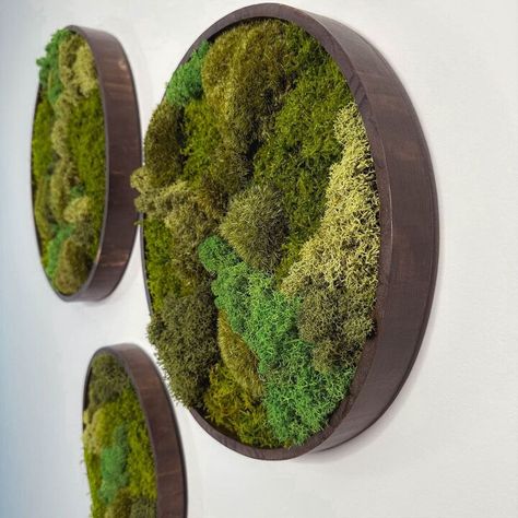 Moss Artwork, Mos Wand, Living Wall Garden, Moss Decor, Moss Wall Art, Creative Office, Custom Wall Decor, Wall Art Botanical, Moss Art