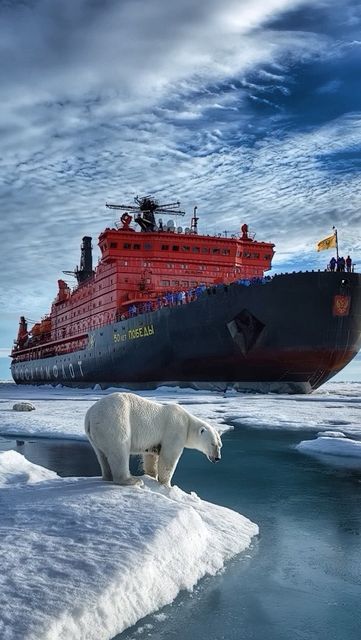 Dmitry Kokh on Instagram: "Recalling the North Pole days" The North Pole, Ice Breakers, North Pole, 50 Years, Animals And Pets, Favorite Things, Ships, Animals, On Instagram