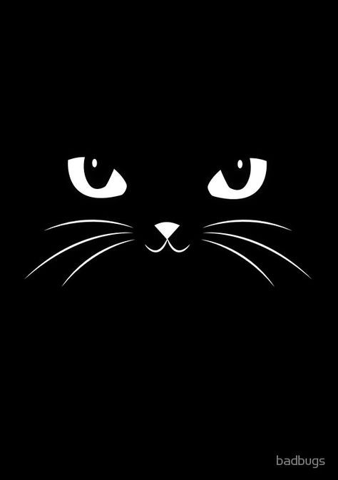 Cute Black Cat, A Black Cat, Cats Art, Cute Black, Black Background, A Black, Black Cat, White, Black