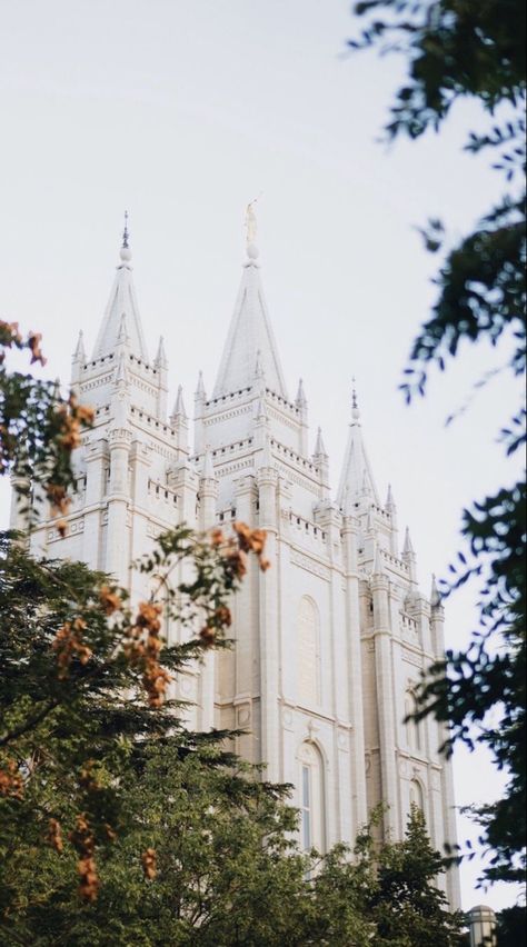 Lds Temples Around The World, Lds Iphone Wallpaper, Lds Jesus Christ Pictures, Church Wallpaper, Lds Pictures, Lds Temple Art, Jesus Christ Lds, Lds Temple Pictures, Church Aesthetic