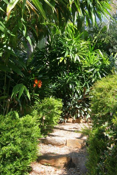 Nevell Garden, Coffs Harbour - Garden Expressions