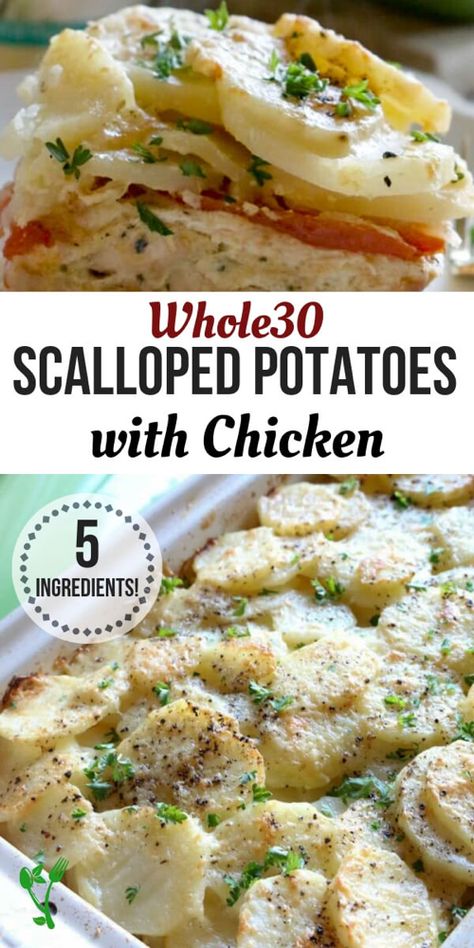 Scalloped Potatoes With Chicken, Chicken Scalloped Potatoes, Potatoes Scalloped, Whole30 Easy, Chicken Potato Bake, Scalloped Potato, Baked Chicken Recipes Healthy, Whole30 Chicken, Chicken Potato