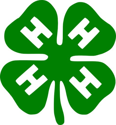 free vector Shamrock clip art graphic available for free download at 4vector.com. Check out our collection of more than 180k free vector graphics for your designs. #design #freebies #vector Shamrock Clip Art, 4h Clover, 4 H Clover, Clover Logo, Clover Svg, Duck House, Laser Cut Wood Crafts, Svg Downloads, Vintage Junk