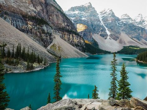 Moraine Lake in Alberta, Canada Canada Winter, Fairmont Chateau Lake Louise, Waterton Lakes National Park, Canada Vacation, Canada Photography, Canada National Parks, Moraine Lake, Hidden Places, Places In The World