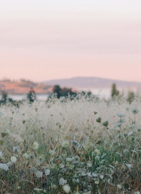 Have Inspiration, Photography Subjects, Trik Fotografi, Alam Yang Indah, Nature Aesthetic, Lake Tahoe, Nature Travel, Nature Pictures, Belle Photo