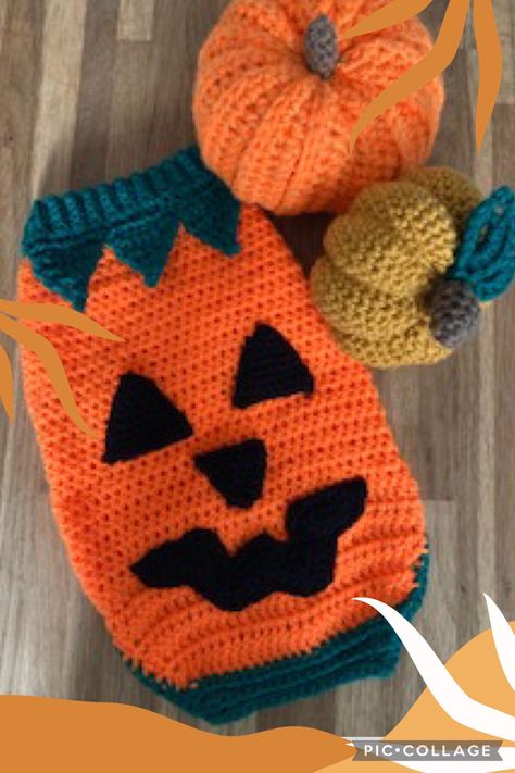 Crochet Halloween Costume, Crochet Dog Hat, Crochet Dog Clothes, Crochet Pet, Crochet Bat, Crochet Dog Sweater, Crochet Mushroom, Cat Halloween Costume, Halloween Crochet Patterns