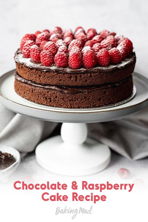 It is really simple to make this chocolate and raspberry cake. Soft chocolate sponge filled and coated in a rich chocolate ganache and topped with beautiful fresh raspberries - a real show-stopper cake to impress your family and friends with (and yummy too)! Show Stopper Cakes, Chocolate And Raspberry Cake, Raspberry Cake Recipe, Chocolate Raspberry Cake Recipe, Raspberry Cake Recipes, Showstopper Cakes, Chocolate And Raspberry, Chocolate Raspberry Cake, Raspberry Cake