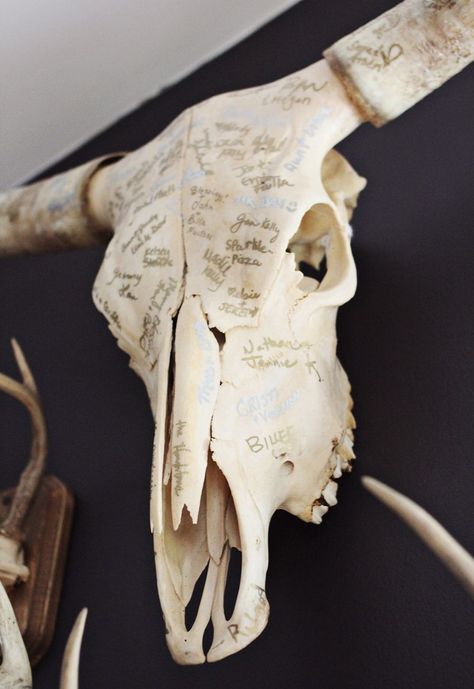 I LOVE this idea. Have guests sign something that can hang in your home, such as a cow skull (: Richie Wedding, Creative Guest Book, Wedding Guest Book Ideas, Diy Wedding Guest Book, Guest Book Ideas, Taylor Wedding, Renewal Wedding, Wedding Guest Book Unique, Cowboy Wedding