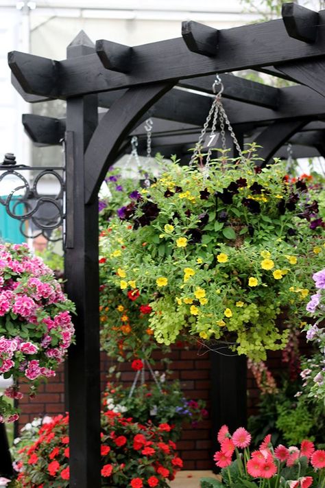 black pergola with hanging baskets Deck Pergola Ideas, Pergola On Deck, Pergola Patio Ideas, Black Pergola, Deck Pergola, Curved Pergola, Garage Pergola, White Pergola, Small Pergola