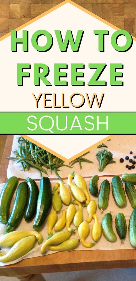 If you're bringing in huge harvests of yellow squash but can't eat it all before it goes bad, you NEED this info. Here is how you can preserve it. This is the best way to freeze yellow squash. #selfsufficient #foodpreservation #gardeningtips #savingmoney Freeze Yellow Squash, Canning Yellow Squash, Freezing Yellow Squash, Freezing Peppers, How To Make Jelly, Canning Food, Canning Food Preservation, Dehydrated Food, Frozen Veggies