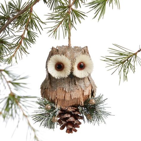 Brown Natural Fiber Owl And Pinecone Ornament by World Market Woodland Christmas Tree, Pinecone Ornaments, Unique Christmas Ornaments, Owl Ornament, Christmas Owls, Woodland Christmas, Winter Animals, Festive Decor, Woodland Theme