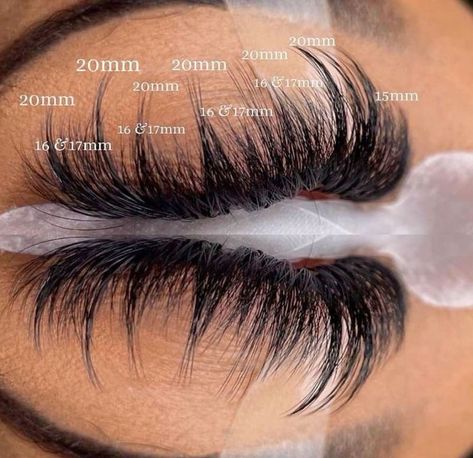 Wispy Lash Mapping Eyelash Extensions, Lash Extension Mapping Styles Wispy, Lash Extension Mapping Styles, Lash Mapping Eyelash Extensions Wispy, Wispy Eyelash Extensions Map, Whispy Lashes Extensions Map, Lash Extensions Styles Mapping, Wispy Lash Extensions Mapping, Wispy Lash Map