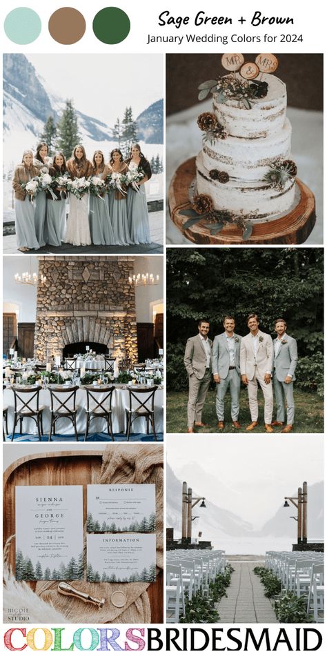 All 30+ Winter Wedding Color Palettes - ColorsBridesmaid Winter Wedding Mood Board, Winter Wedding Colors Green, Nude Wedding Cake, Bridesmaid Dresses Brown, January Wedding Colors, Sage Green And Brown, Ice Blue Bridesmaid Dress, Wedding Color Schemes Winter, Sage Green Bridesmaid Dresses