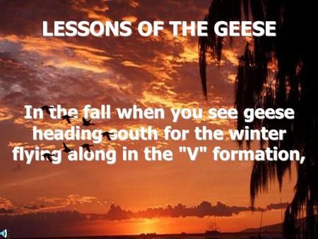 LESSONS OF THE GEESE In the fall when you see geese heading south for the winter flying along in the V formation,> Sick Meme, Team Player, Core Values, The Fall, The Winter, Leadership