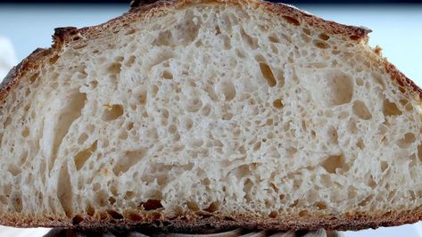 Low Carb Artisan Bread Recipes, Keto Sourdough Starter Recipe, Grain Free Sourdough Bread, Keto Sourdough Bread Starter, Almond Flour Sourdough Bread, Keto Sourdough Recipes, Keto Artisan Bread, Low Carb Sourdough Bread, Keto Sourdough Starter