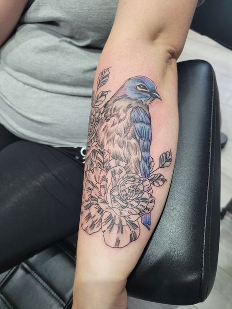 Bluebird With Flowers Tattoo, Blue Bird Tattoo, Bluebird Tattoo, Flowers Tattoo, Bird Tattoo, Birds Tattoo, Bluebird, Flower Tattoos, Blue Bird