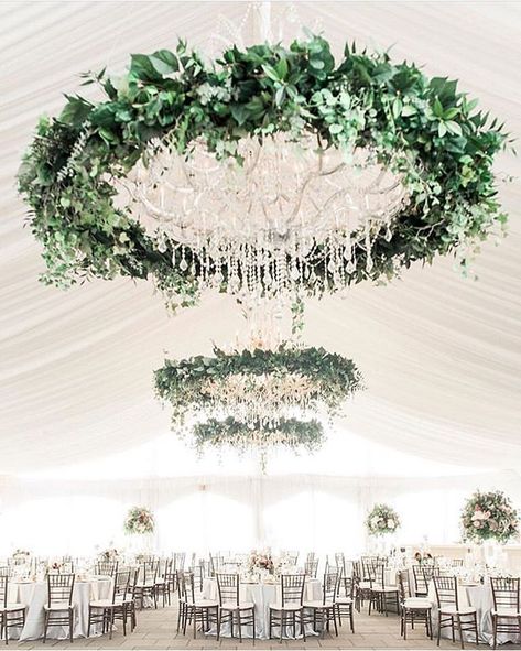 @nikkicastorhess • Instagram photos and videos Outdoor Tent Wedding, Downtown Philadelphia, Wedding Ceiling, Luxury Wedding Decor, Flower Decorations Diy, Seating Plan Wedding, Wedding Tent, Wedding Set Up, Future Wedding Plans