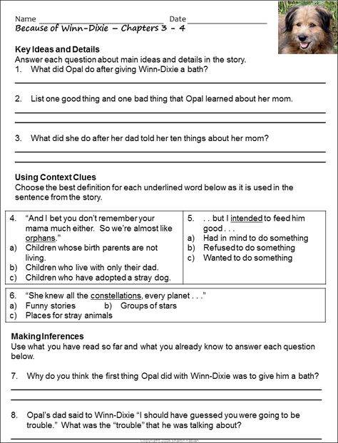 because-of-winn-dixie-novel-study Because Of Winn Dixie Novel Study, Because Of Winn Dixie Activities, Card Game Questions, Main Idea And Details Activities, Winn Dixie Book, Shared Reading Activities, Because Of Winn Dixie, Teeth Clipart, Context Clues Activities